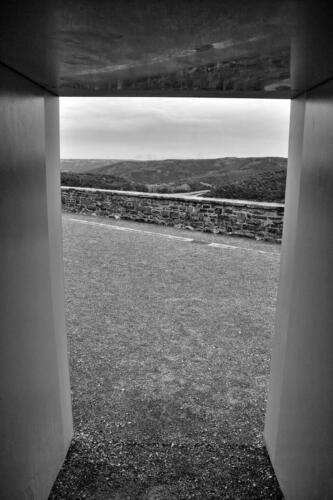 BESTIMMUNG: HERRENMENSCH