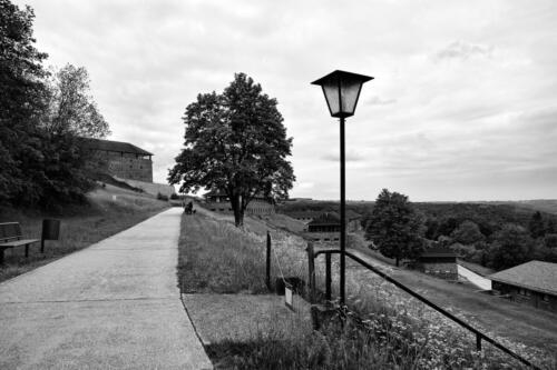 BESTIMMUNG: HERRENMENSCH