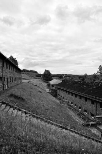 BESTIMMUNG: HERRENMENSCH