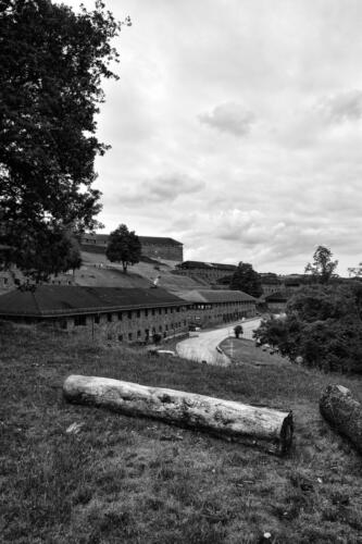 BESTIMMUNG: HERRENMENSCH