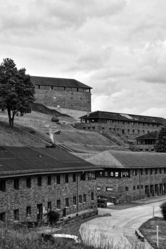 BESTIMMUNG: HERRENMENSCH