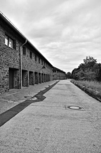 BESTIMMUNG: HERRENMENSCH