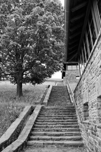 BESTIMMUNG: HERRENMENSCH