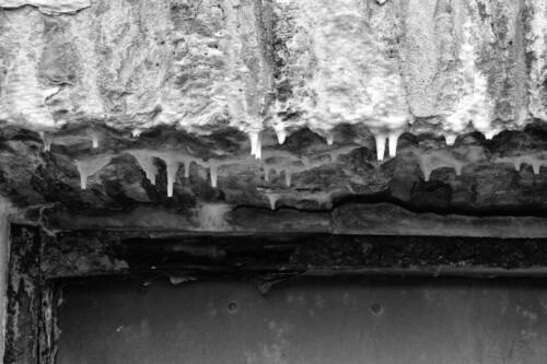 BESTIMMUNG: HERRENMENSCH