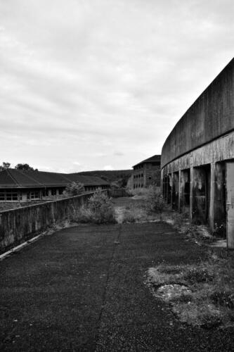 BESTIMMUNG: HERRENMENSCH