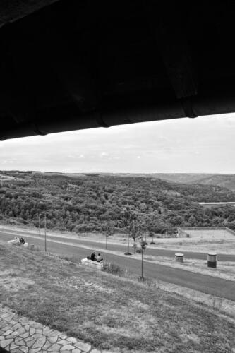 BESTIMMUNG: HERRENMENSCH