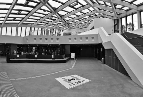 BESTIMMUNG: HERRENMENSCH