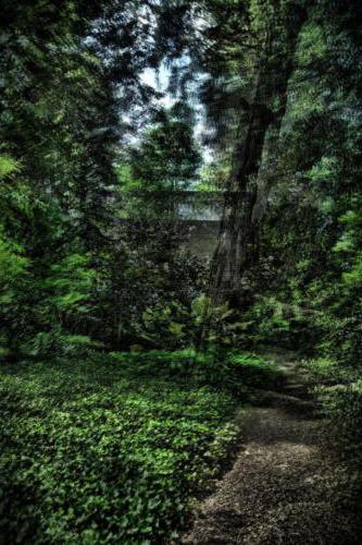 Museum-Insel-Hombroich0002