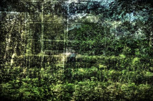 Museum-Insel-Hombroich0003