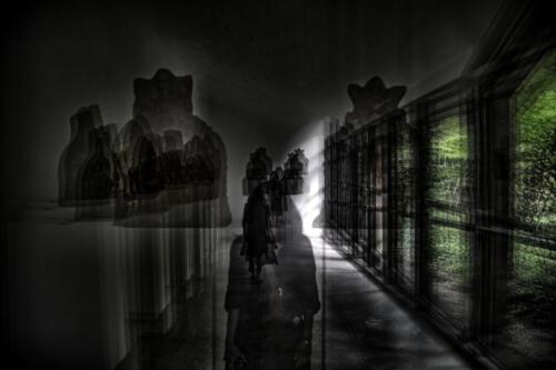 Museum-Insel-Hombroich0005