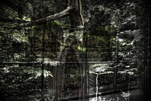 Museum-Insel-Hombroich0006