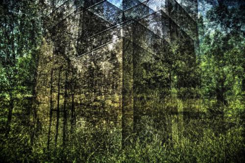 Museum-Insel-Hombroich0008