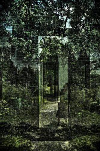 Museum-Insel-Hombroich0009