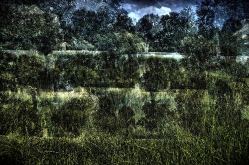 Museum-Insel-Hombroich0014