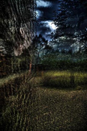 Museum-Insel-Hombroich0019