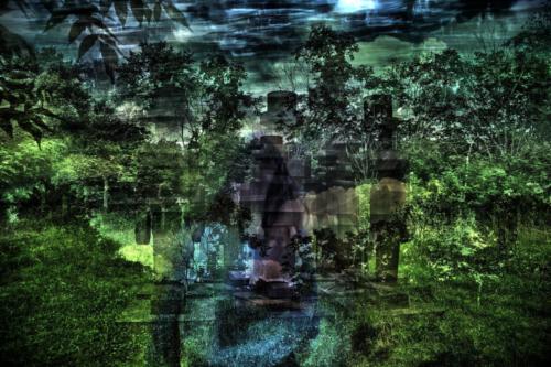 Museum-Insel-Hombroich0020