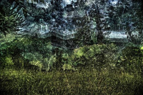 Museum-Insel-Hombroich0021