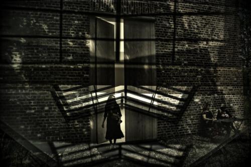 Museum-Insel-Hombroich0028