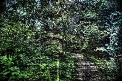 Museum-Insel-Hombroich0030