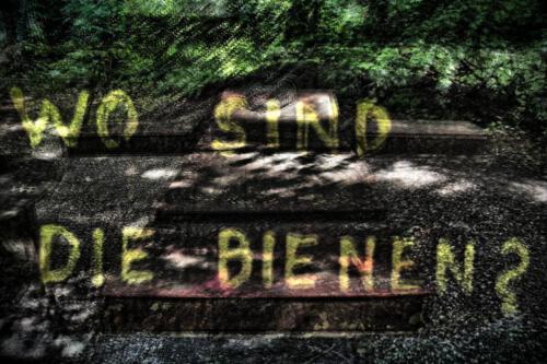 Museum-Insel-Hombroich0031