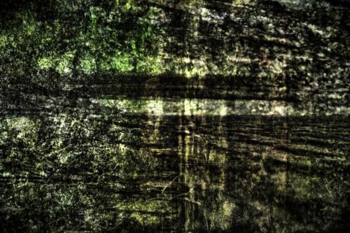 Museum-Insel-Hombroich0032