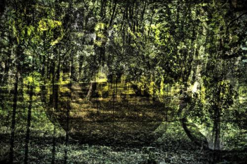 Museum-Insel-Hombroich0033