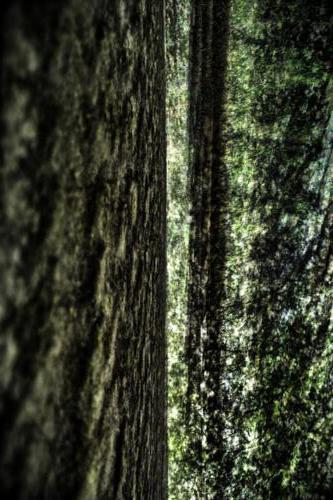 Museum-Insel-Hombroich0034