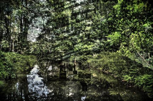 Museum-Insel-Hombroich0035