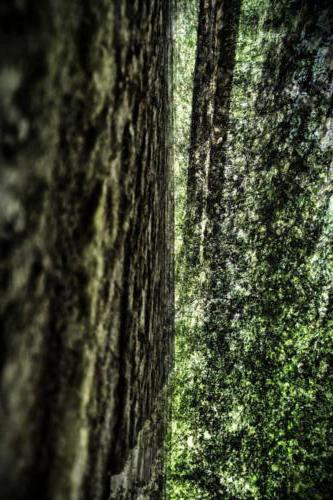 Museum-Insel-Hombroich0036