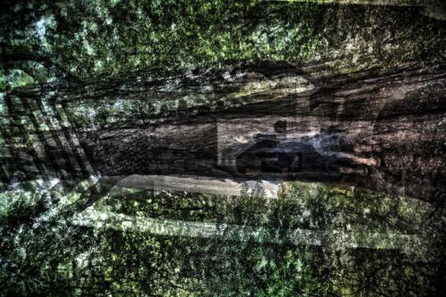 Museum-Insel-Hombroich0038