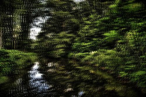 Museum-Insel-Hombroich0039