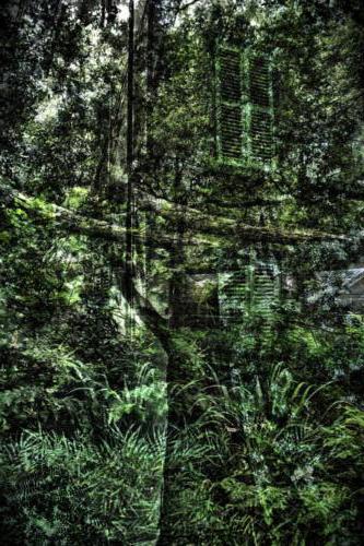 Museum-Insel-Hombroich0041