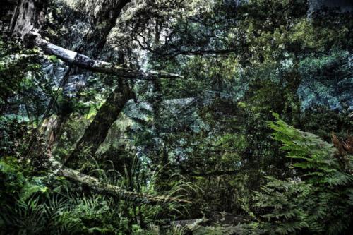 Museum-Insel-Hombroich0042