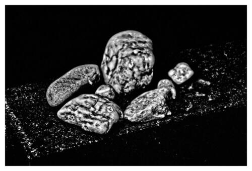 NIEMAND WIRD VERGESSEN