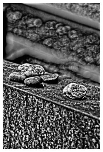 NIEMAND WIRD VERGESSEN