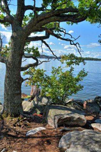 Stockholms Schärengarten