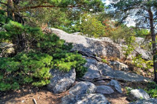 Stockholms Schärengarten