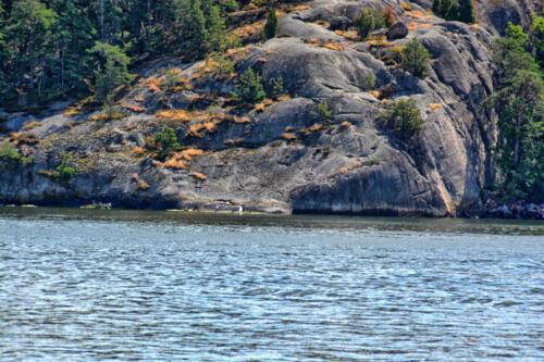 Stockholms Schärengarten