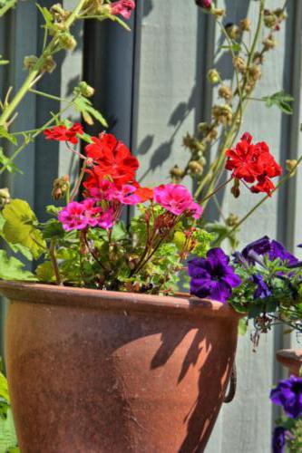 Stockholms Schärengarten