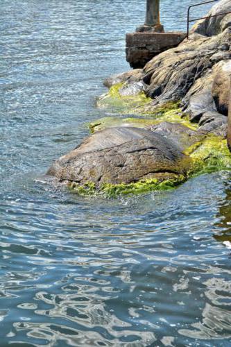 Stockholms Schärengarten
