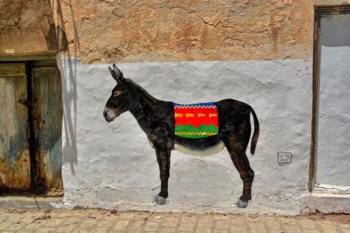 Djerbahood street art 