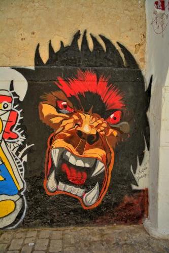 Djerbahood street art 
