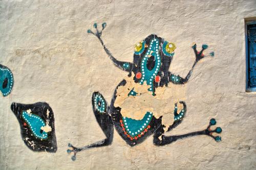 Djerbahood street art 