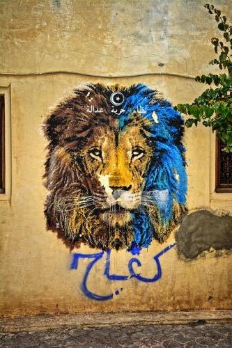 Djerbahood street art 