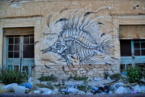Djerbahood street art 