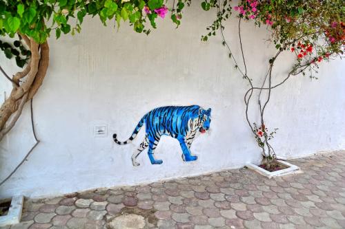 Djerbahood street art 