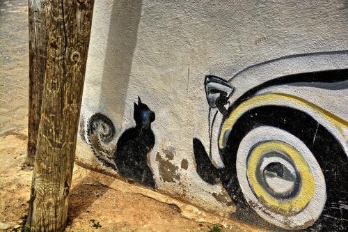 Djerbahood street art 