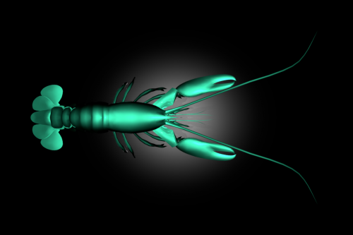 lobster2064